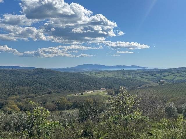 Country House in Magliano in Toscana, Tuscany, Italy 5 - 16723792