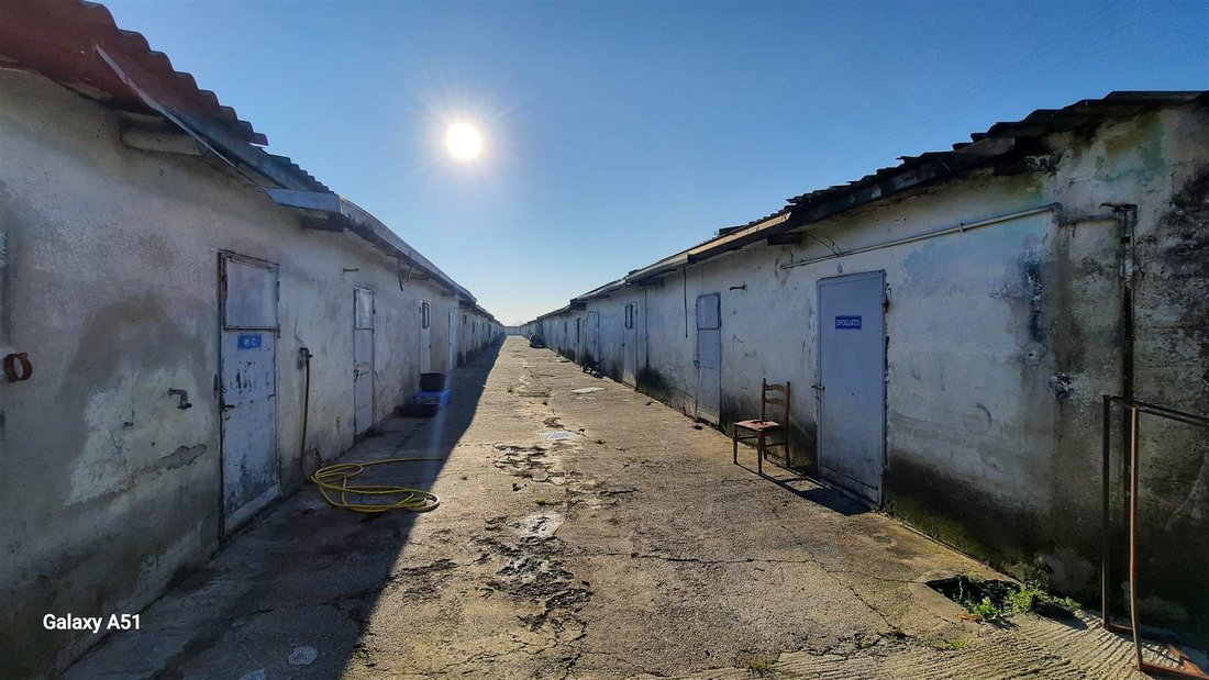 Land in East, Treviglio, Lombardy 4 - 16722470
