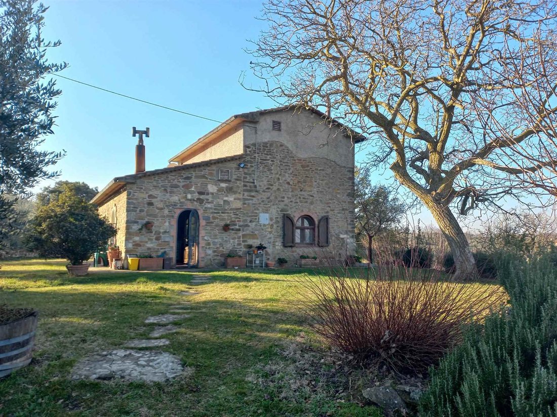 Scansano, Tuscany, Italy 1 - 16722385