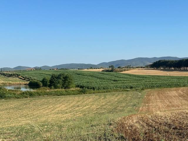 Terrain à San Donato - Polverosa, Orbetello, Toscane 2 - 16723669