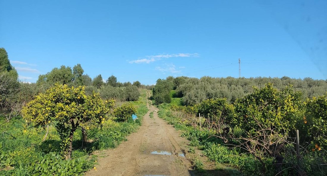 Land in Centuripe, Sicily, Italy 5 - 16722556