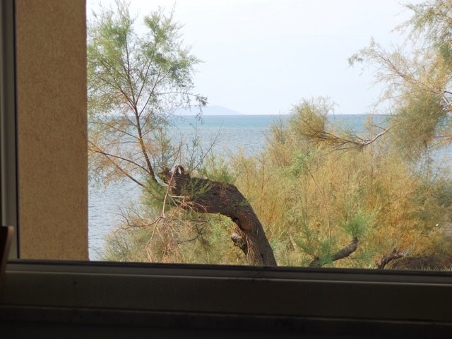 Apartment in Antignano, Livorno, Tuscany 5 - 16722029