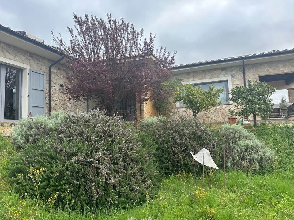 Manciano, Tuscany, Italy 5 - 16724529