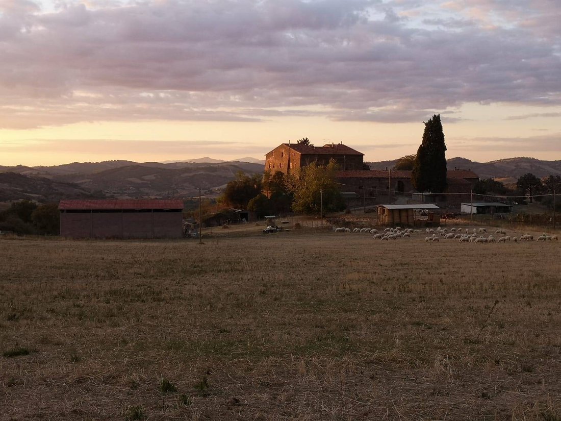 Farm Ranch in Roccalbegna, Tuscany, Italy 1 - 16722305