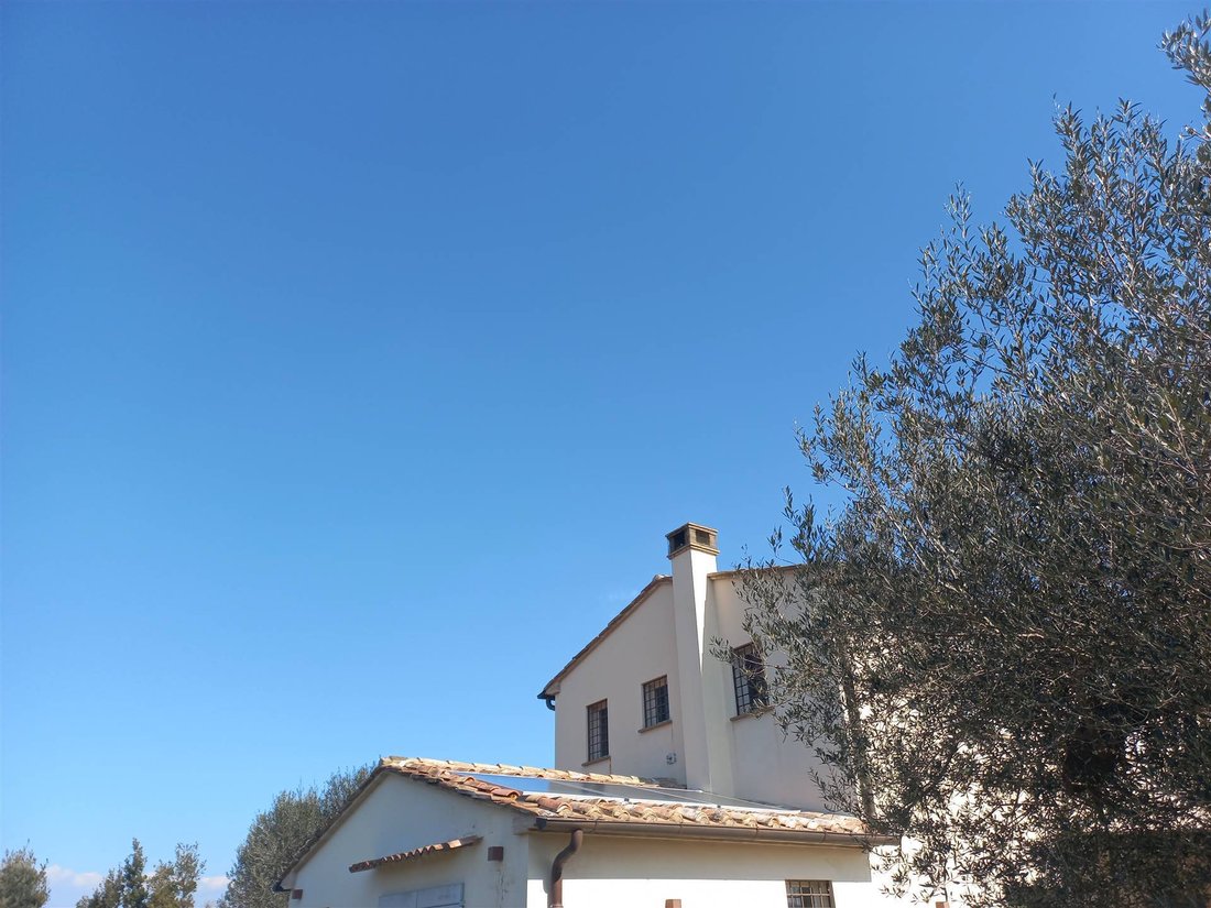 Andere in Capalbio, Toskana, Italien 5 - 16724873