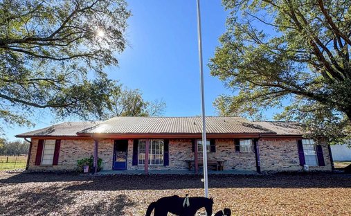 House in Daingerfield, Texas, United States 1