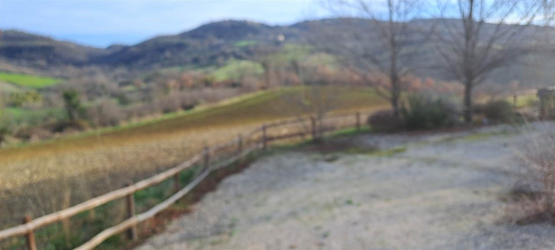 Apartment in Manciano, Tuscany, Italy 3 - 16724318