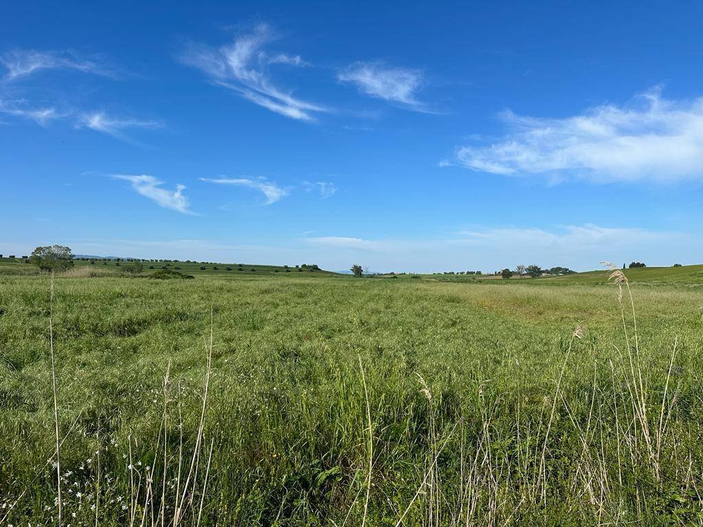 Land in San Donato Vecchio, Orbetello, Tuscany 1 - 16724664