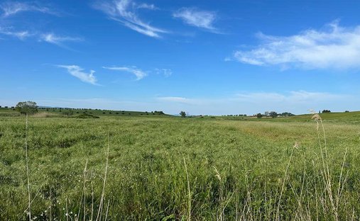 Land in San Donato Vecchio, Orbetello, Tuscany 1