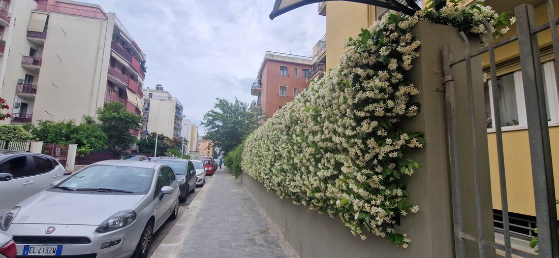 Appartement à Monte Urpinu - Bonaria, Cagliari, Sardaigne 3 - 16722995
