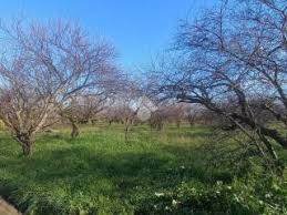 Land in Sant'Anastasia, Campania, Italy 4 - 16723988