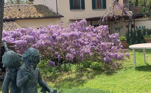 Millennial Castle In The Hills Of Arezzo