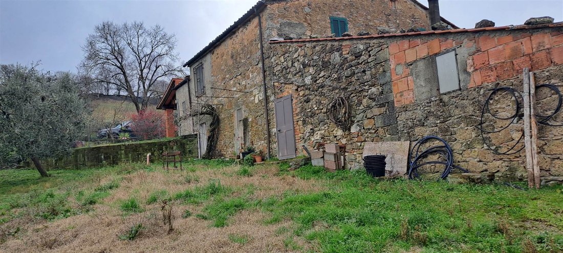 Andere in Scansano, Toskana, Italien 4 - 16724571