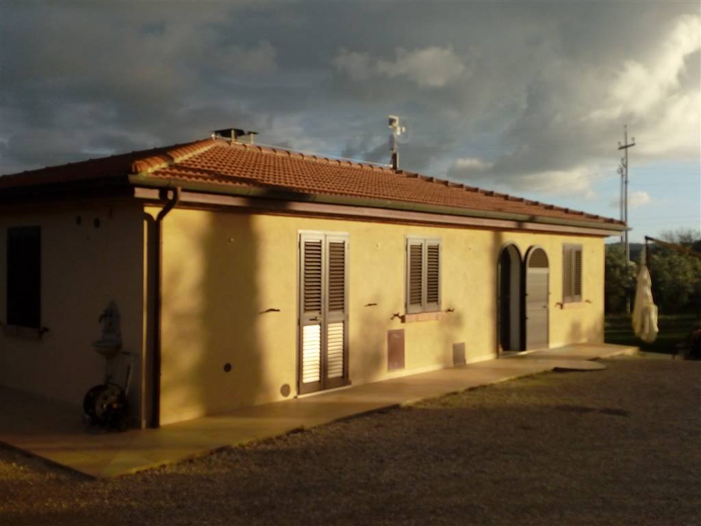 Scansano, Tuscany, Italy 5 - 16722454