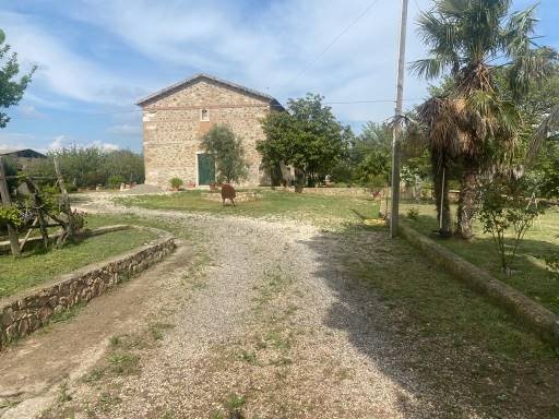 Magliano in Toscana, Tuscany, Italy 3 - 16724892