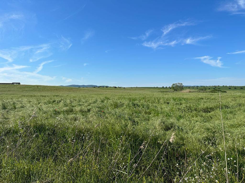 Land in San Donato Vecchio, Orbetello, Tuscany 2 - 16724664