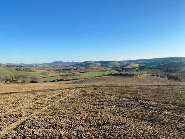 Apartment in Magliano in Toscana, Tuscany, Italy 2 - 16724913