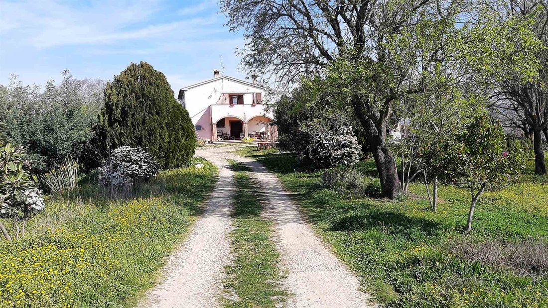 Country House in Magliano in Toscana, Tuscany, Italy 2 - 16724964