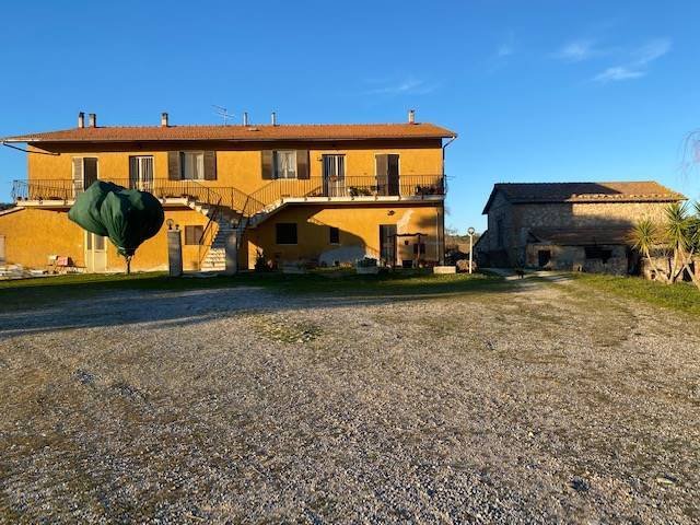 Apartment in Magliano in Toscana, Tuscany, Italy 5 - 16724913