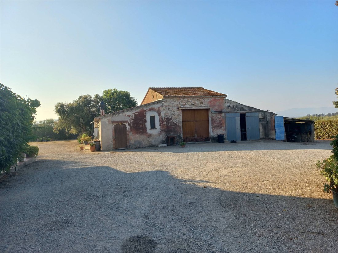 Andere in San Donato - Polverosa, Orbetello, Toskana 4 - 16724932