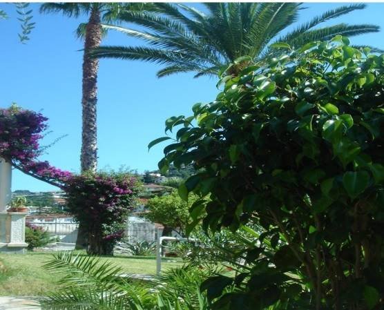 Villa in Bussana Vecchia, Sanremo, Liguria 4 - 16722833