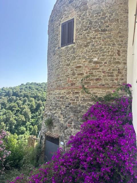 House in Magliano in Toscana, Tuscany, Italy 2 - 16723542