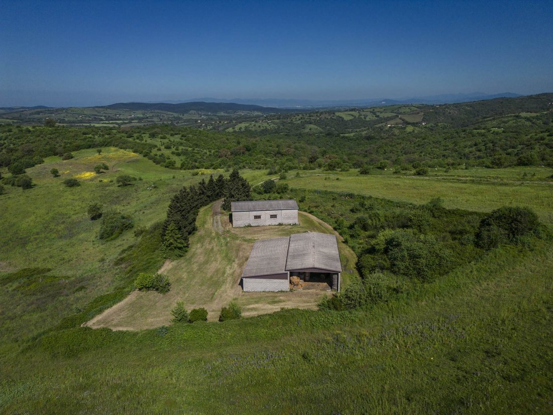 Country House in Magliano in Toscana, Tuscany, Italy 4 - 16723833
