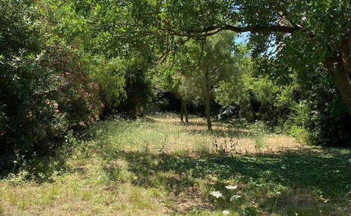 Land in Americhe - Pianetti, Ragusa, Sicily 1