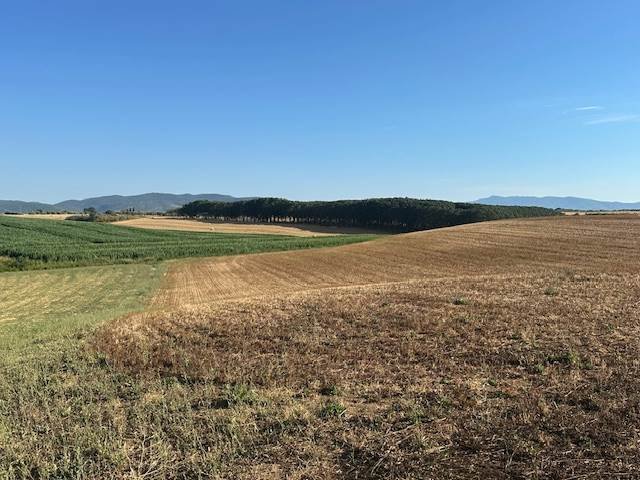 Terrain à San Donato - Polverosa, Orbetello, Toscane 4 - 16723669