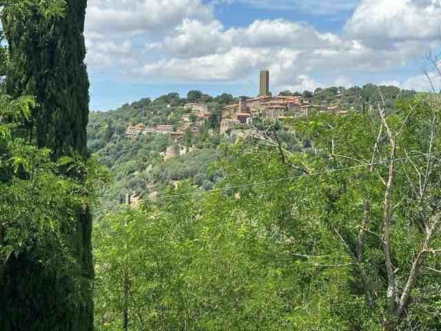 Country House in Magliano in Toscana, Tuscany, Italy 3 - 16724336