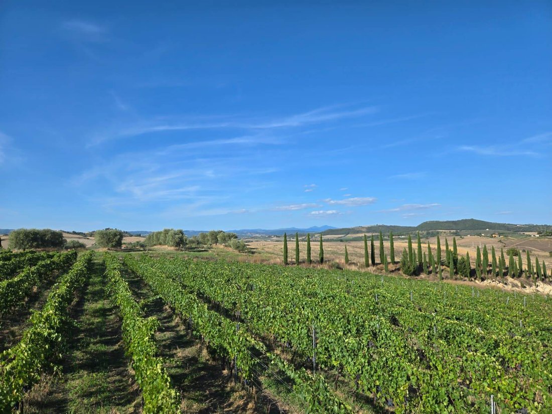 Farm Ranch in Magliano in Toscana, Tuscany, Italy 1 - 16723446