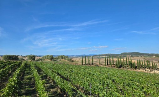 Farm Ranch in Magliano in Toscana, Tuscany, Italy 1