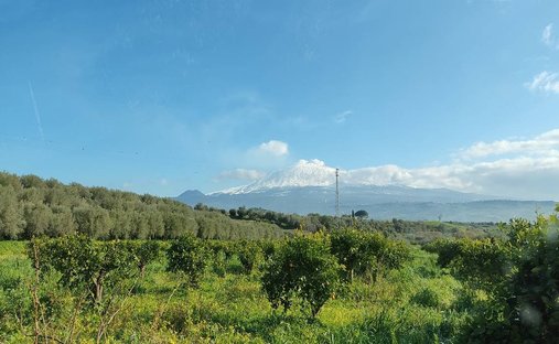 Land in Centuripe, Sicily, Italy 1