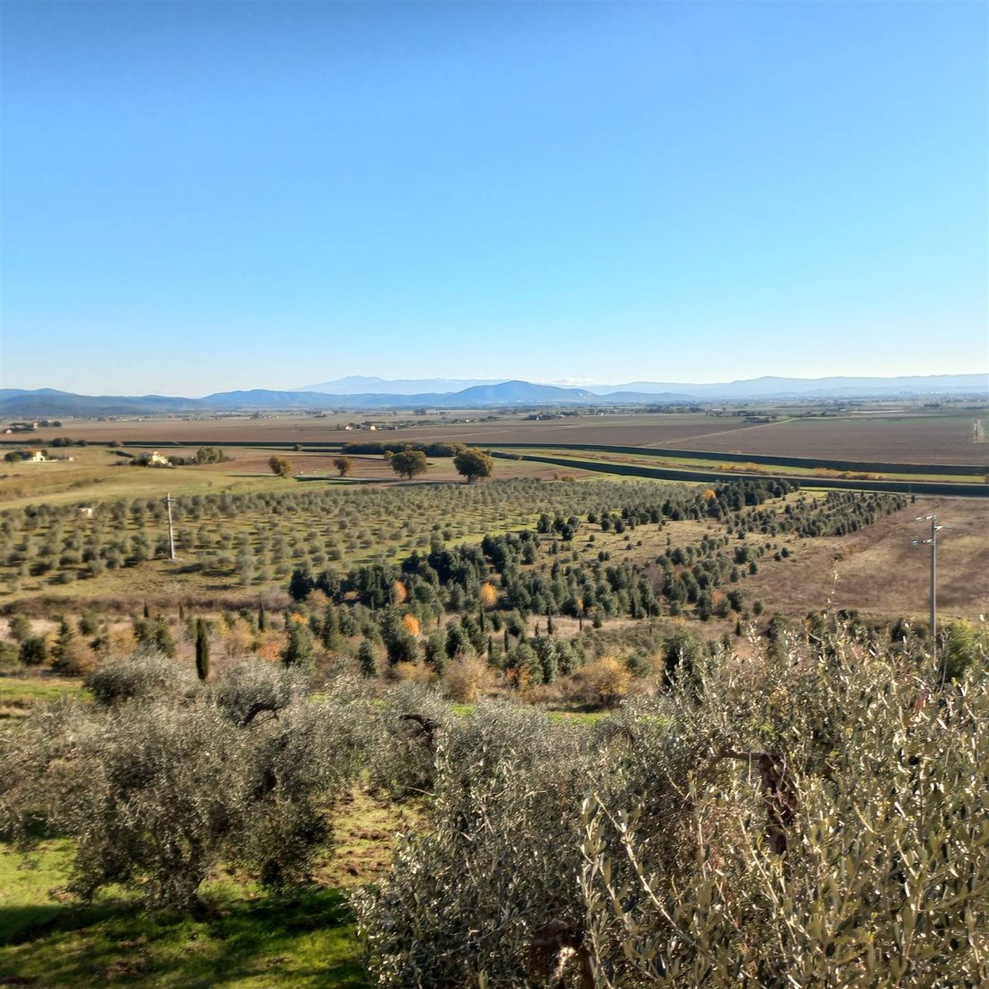 Tirli-Vetulonia-Buriano, Castiglione della Pescaia, Tuscany 5 - 16724917