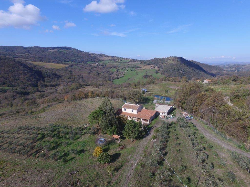 Farm Ranch in Scansano, Tuscany, Italy 1 - 16724523