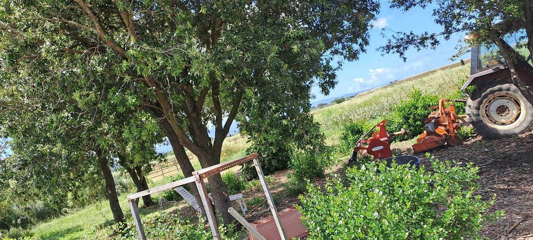 Apartment in San Donato Vecchio, Orbetello, Tuscany 4 - 16724390