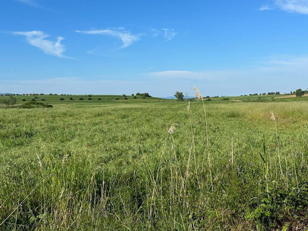 Land in San Donato Vecchio, Orbetello, Tuscany 5 - 16724664