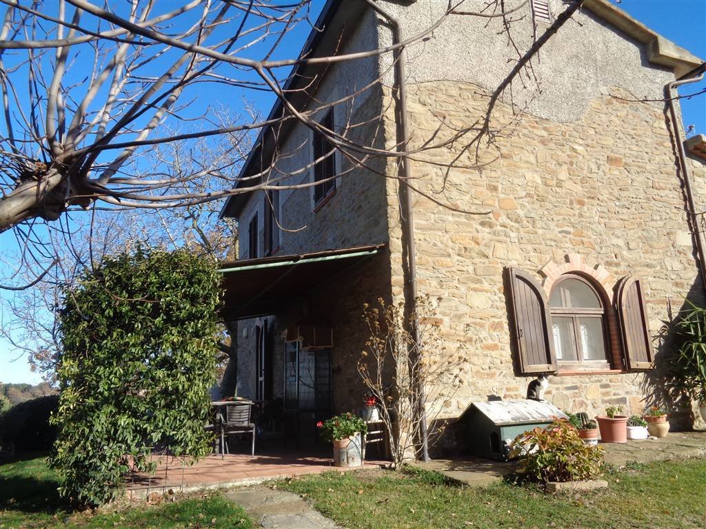 Scansano, Tuscany, Italy 5 - 16722385