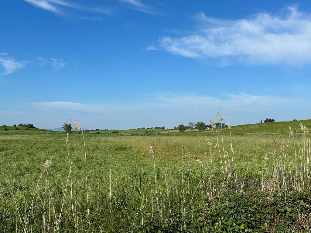 Land in San Donato Vecchio, Orbetello, Tuscany 3 - 16724664