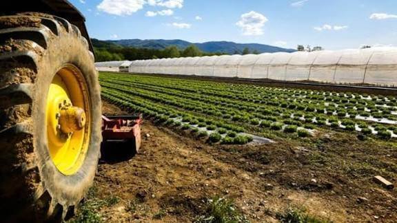 Farm Ranch in Saint Thomas - Colognola, Bergamo, Lombardy 5 - 16722513