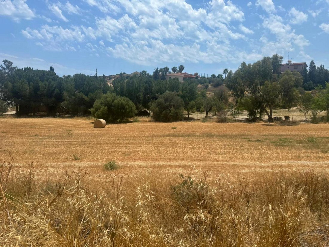 Land in Agios Tychon, Limassol, Cyprus 5 - 16725636