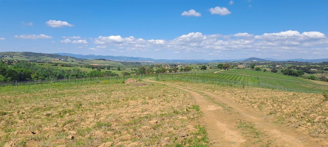 Land in Grosseto, Tuscany, Italy 2 - 16724466