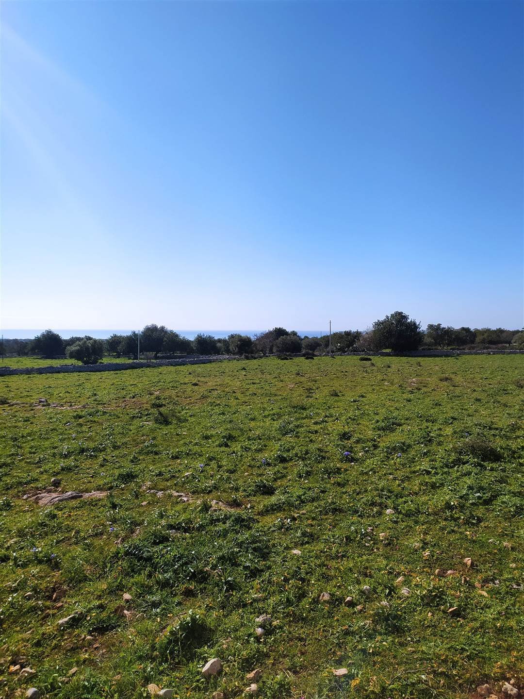 Land in Scicli, Sicily, Italy 5 - 16723630