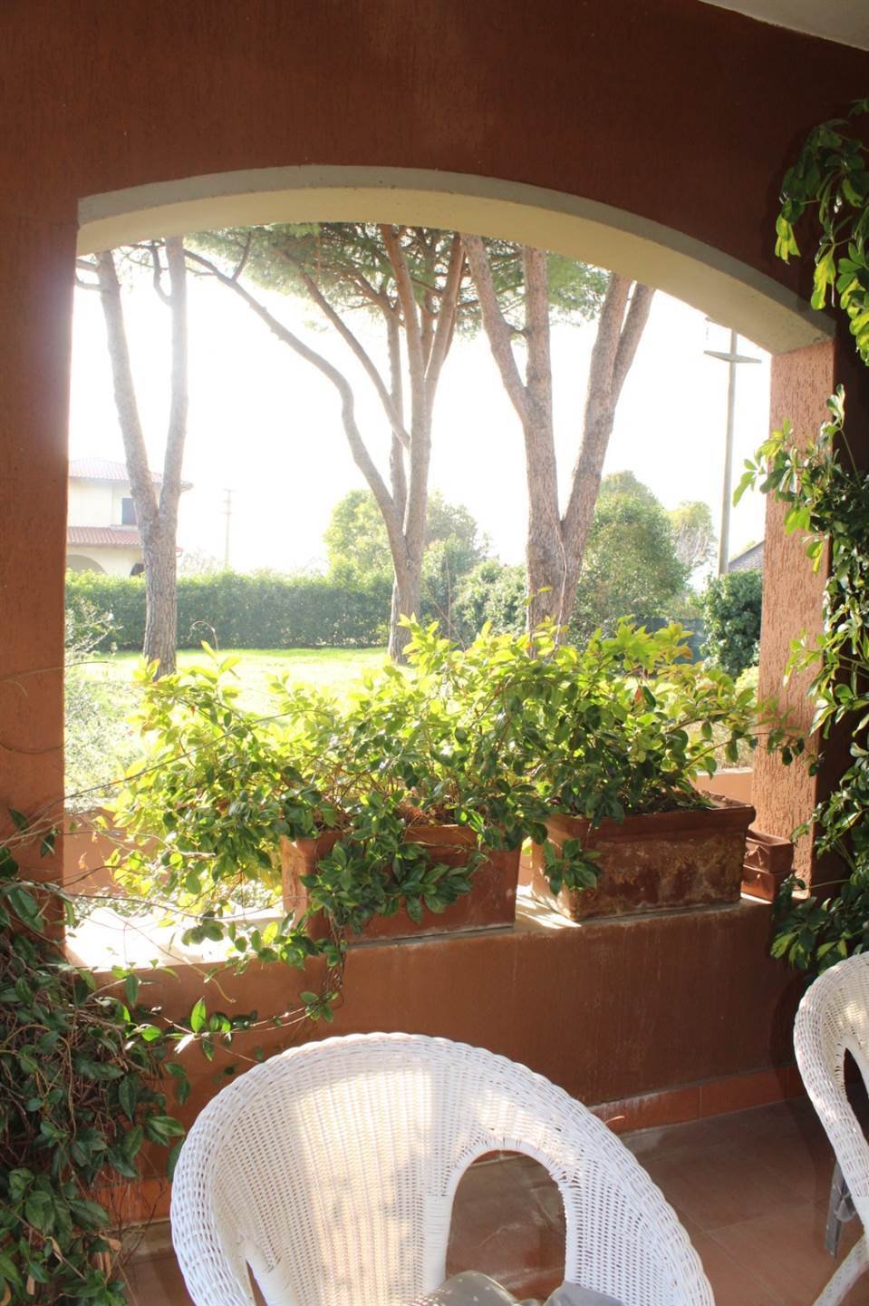 Villa in Grosseto, Tuscany, Italy 2 - 16724608