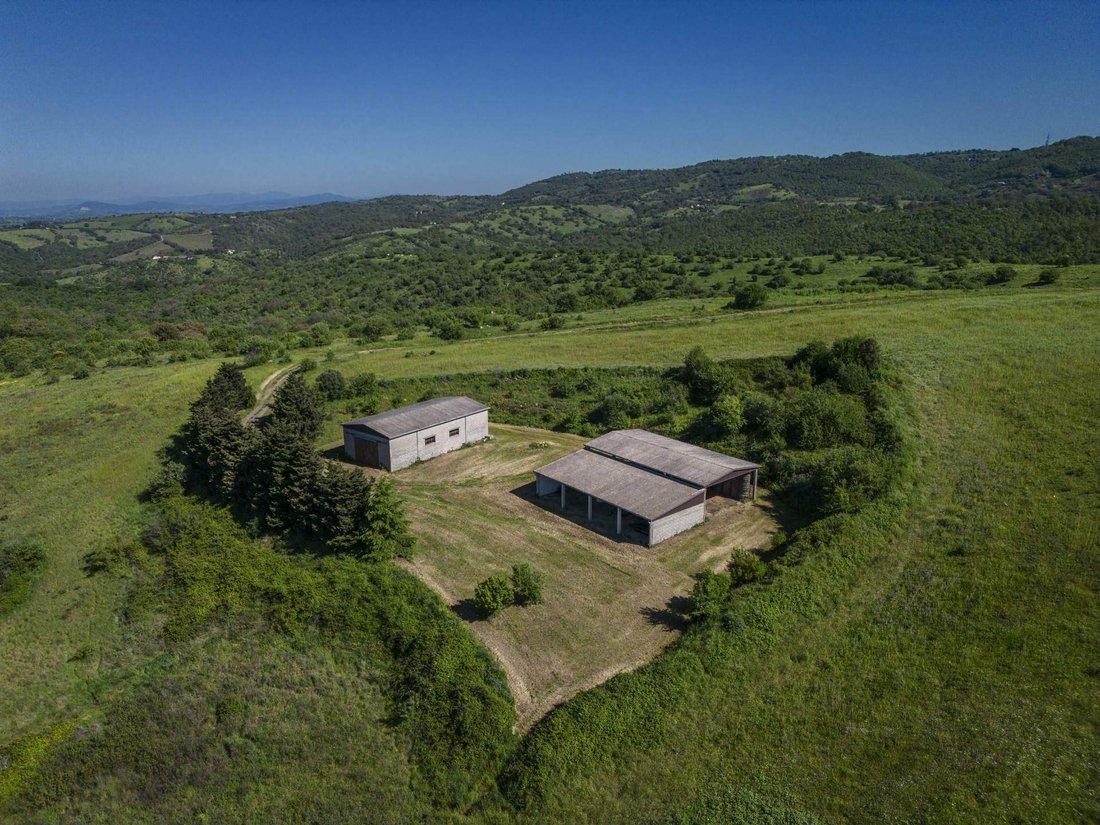 Country House in Magliano in Toscana, Tuscany, Italy 2 - 16723833