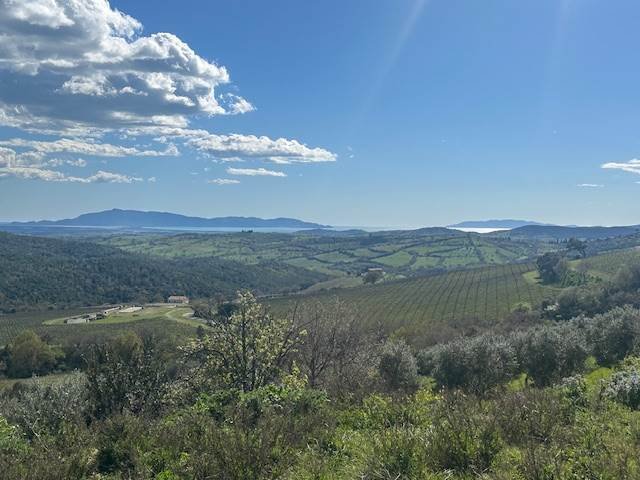 Country House in Magliano in Toscana, Tuscany, Italy 4 - 16723792