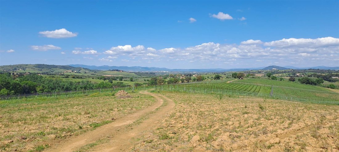 Land in Grosseto, Tuscany, Italy 4 - 16724466