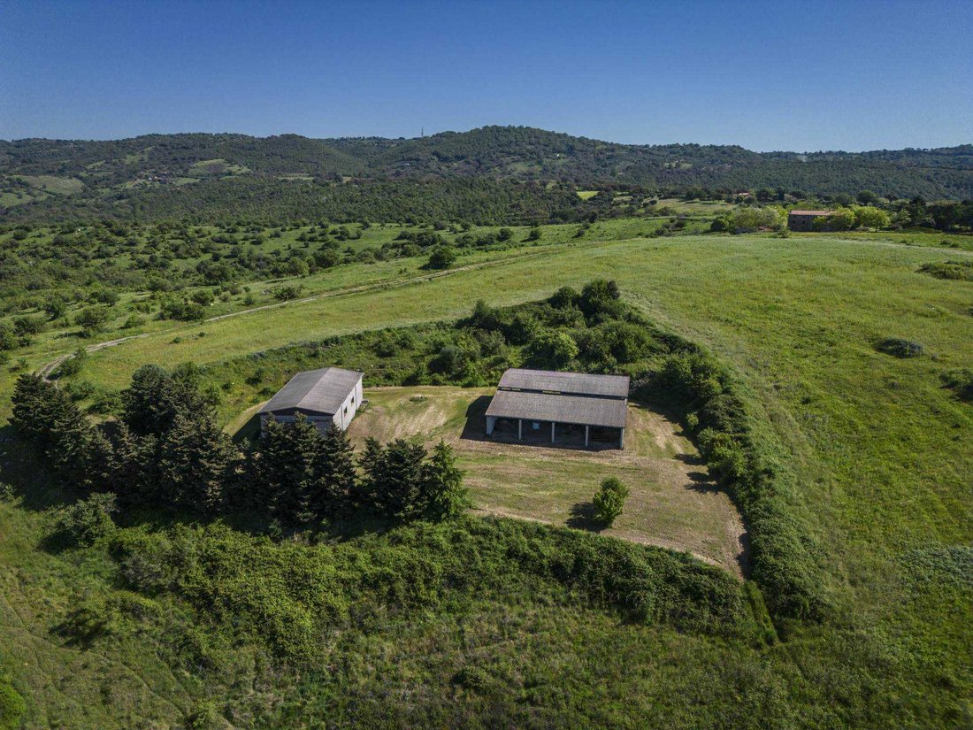 Country House in Magliano in Toscana, Tuscany, Italy 3 - 16723833