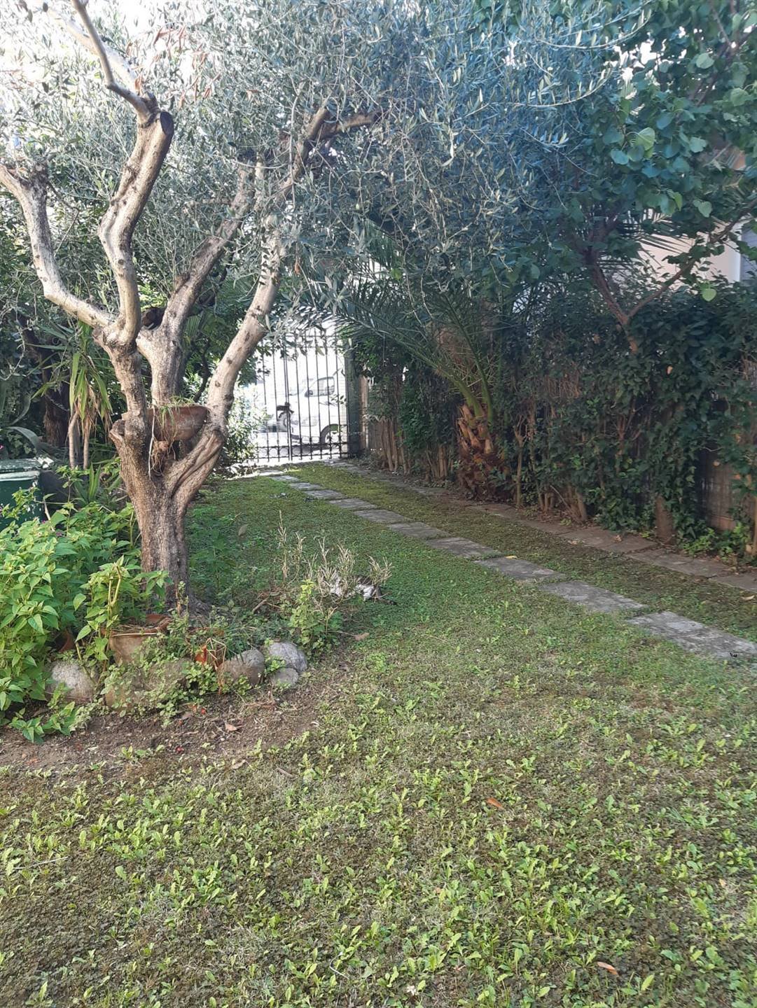 Villa in Center, Grosseto, Tuscany 3 - 16722510