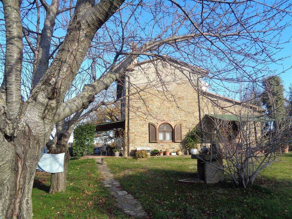 Scansano, Tuscany, Italy 4 - 16722385